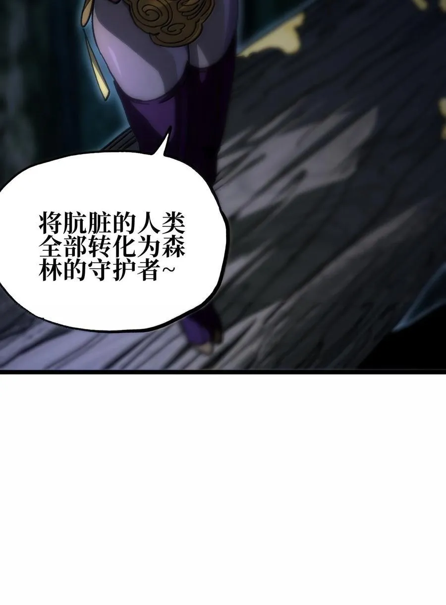 139 森林精灵62