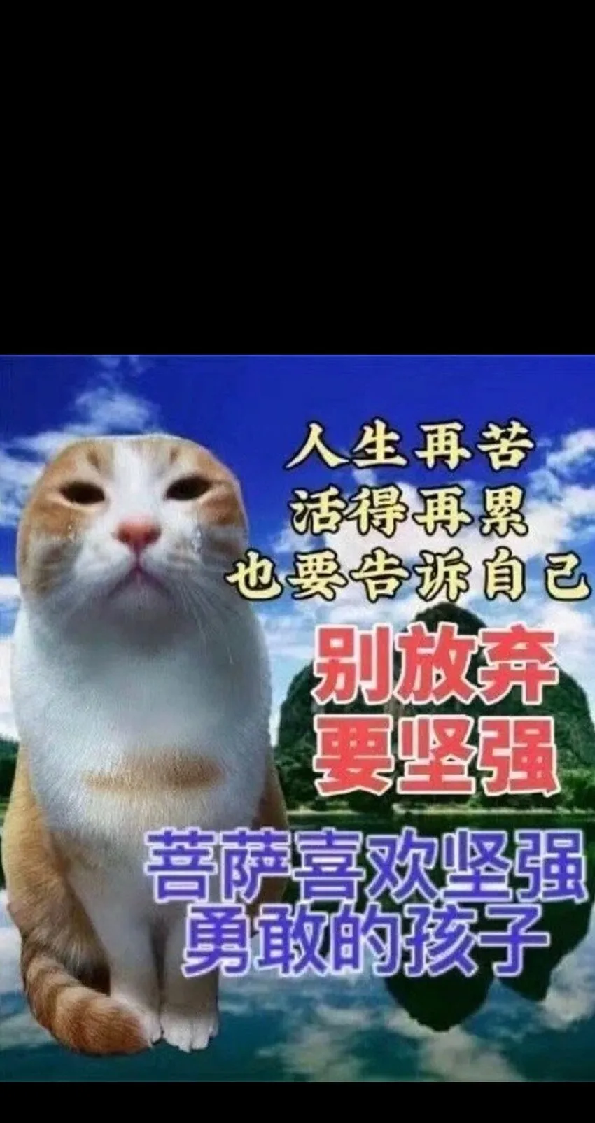 73 我也不知道会这样97