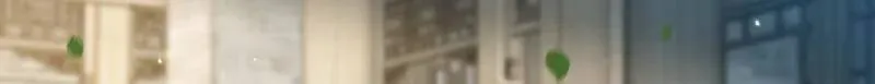 第408话 白起求婚白珍14