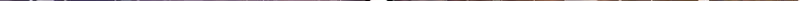 第404话 阿九的师父44