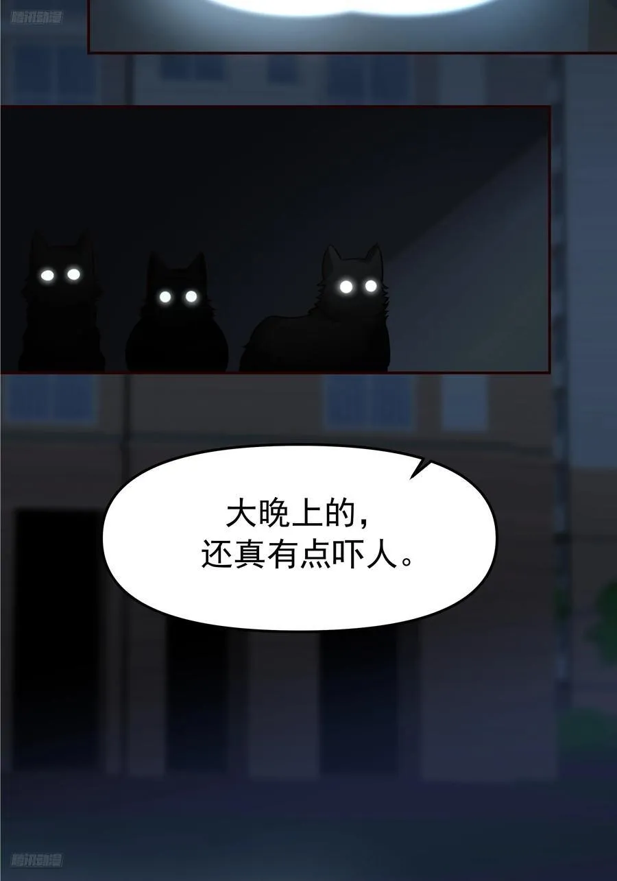 要什么自行车？2