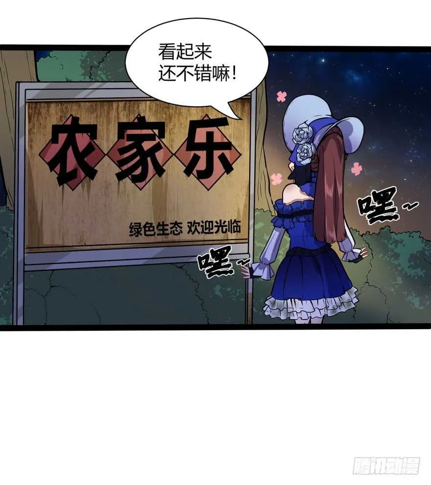 农家乐12