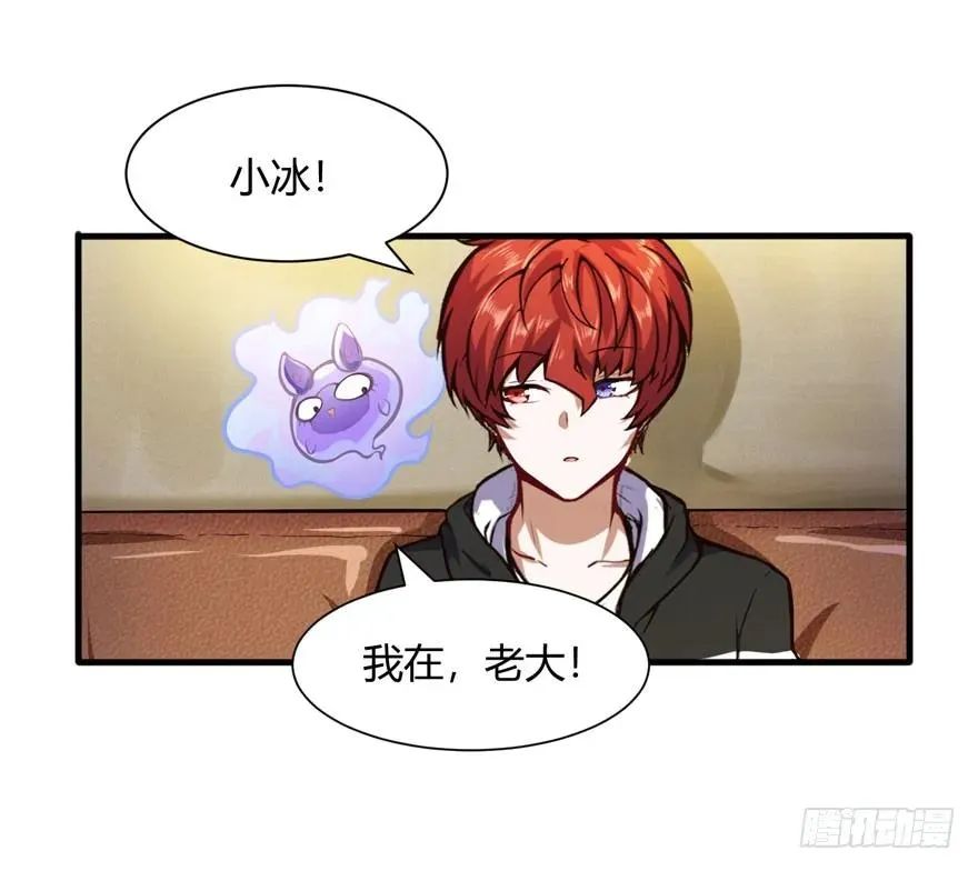 拍卖会开始8