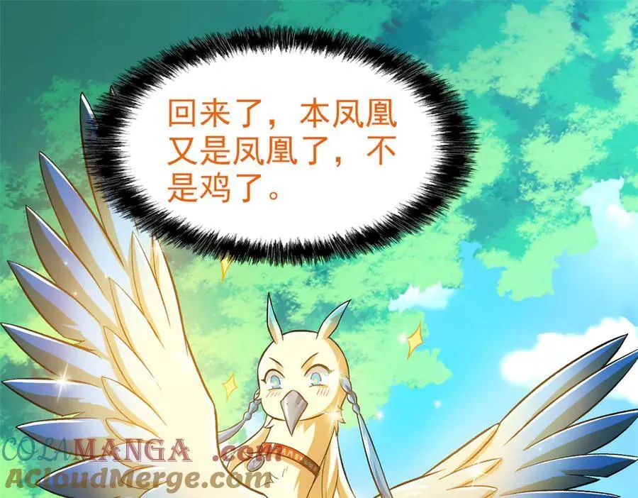 299 公鸡母鸡，感情真好36