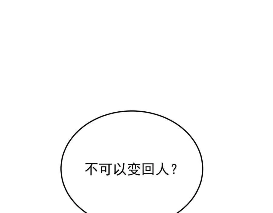 299 公鸡母鸡，感情真好5
