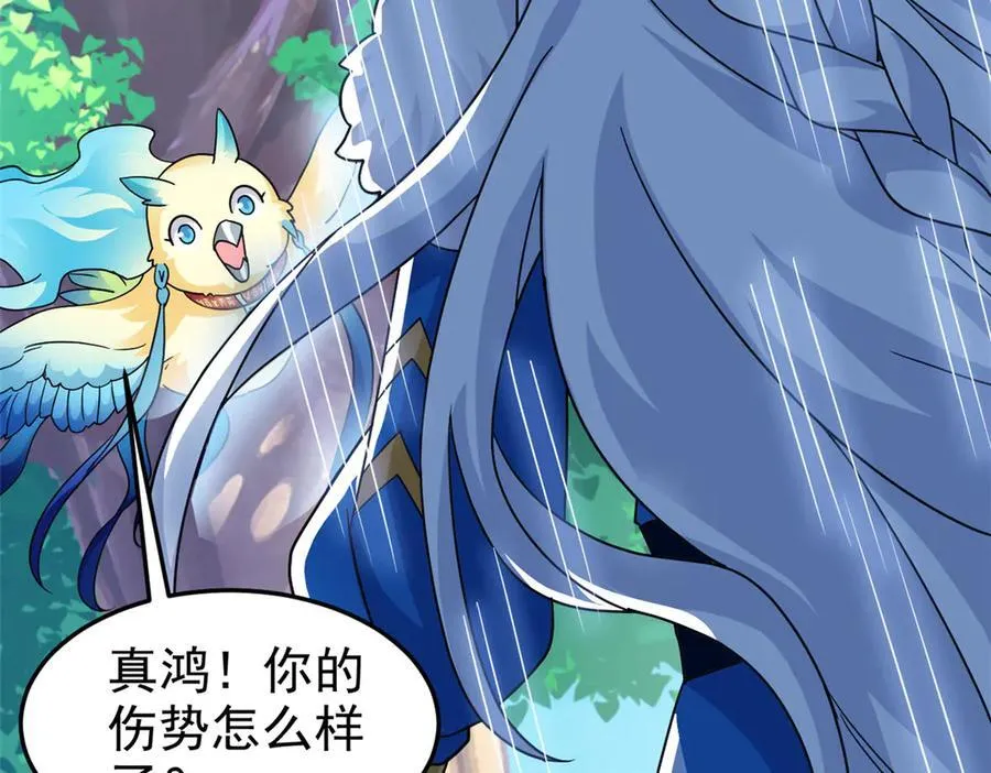 299 公鸡母鸡，感情真好53