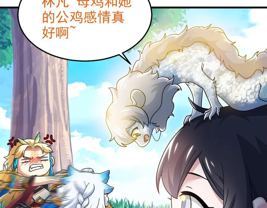 299 公鸡母鸡，感情真好78
