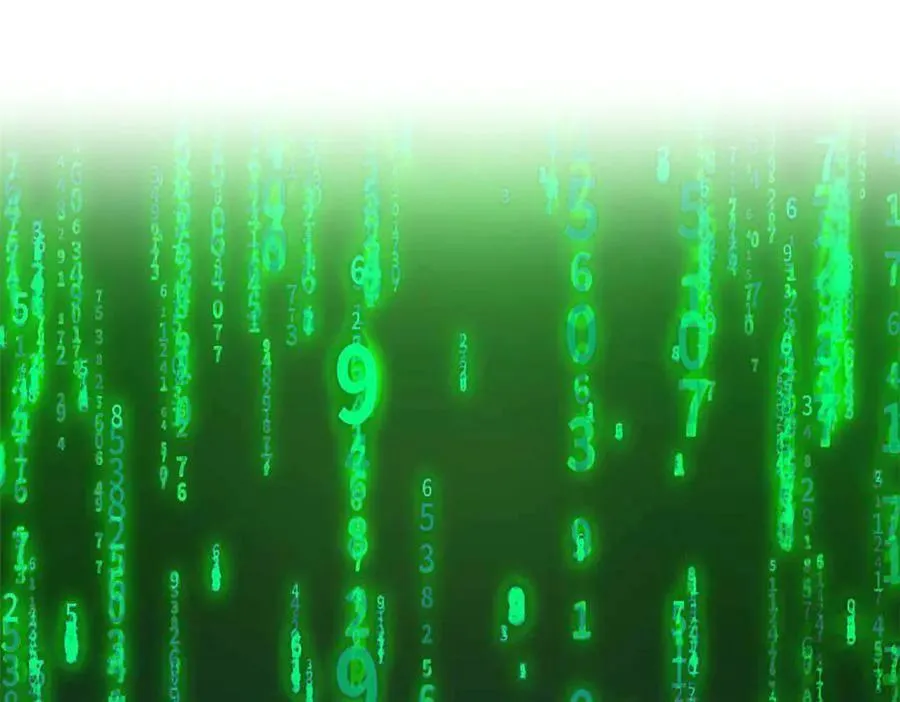 302 只是宠物，他好帅啊55