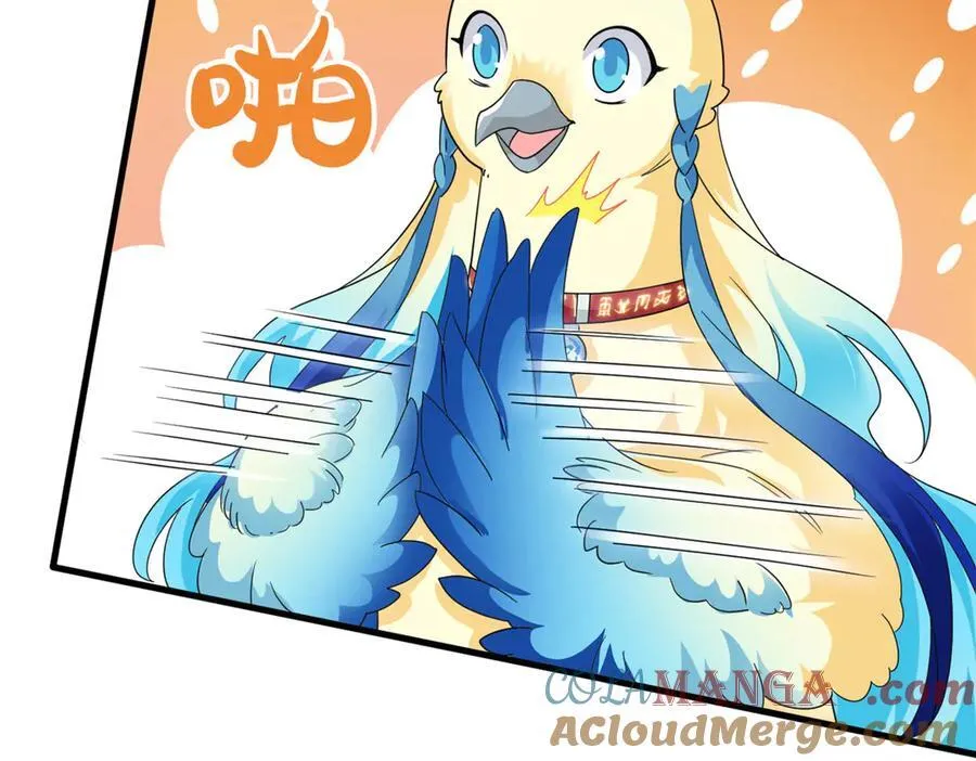 299 公鸡母鸡，感情真好48