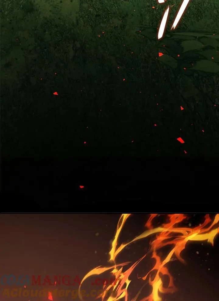 第167话4