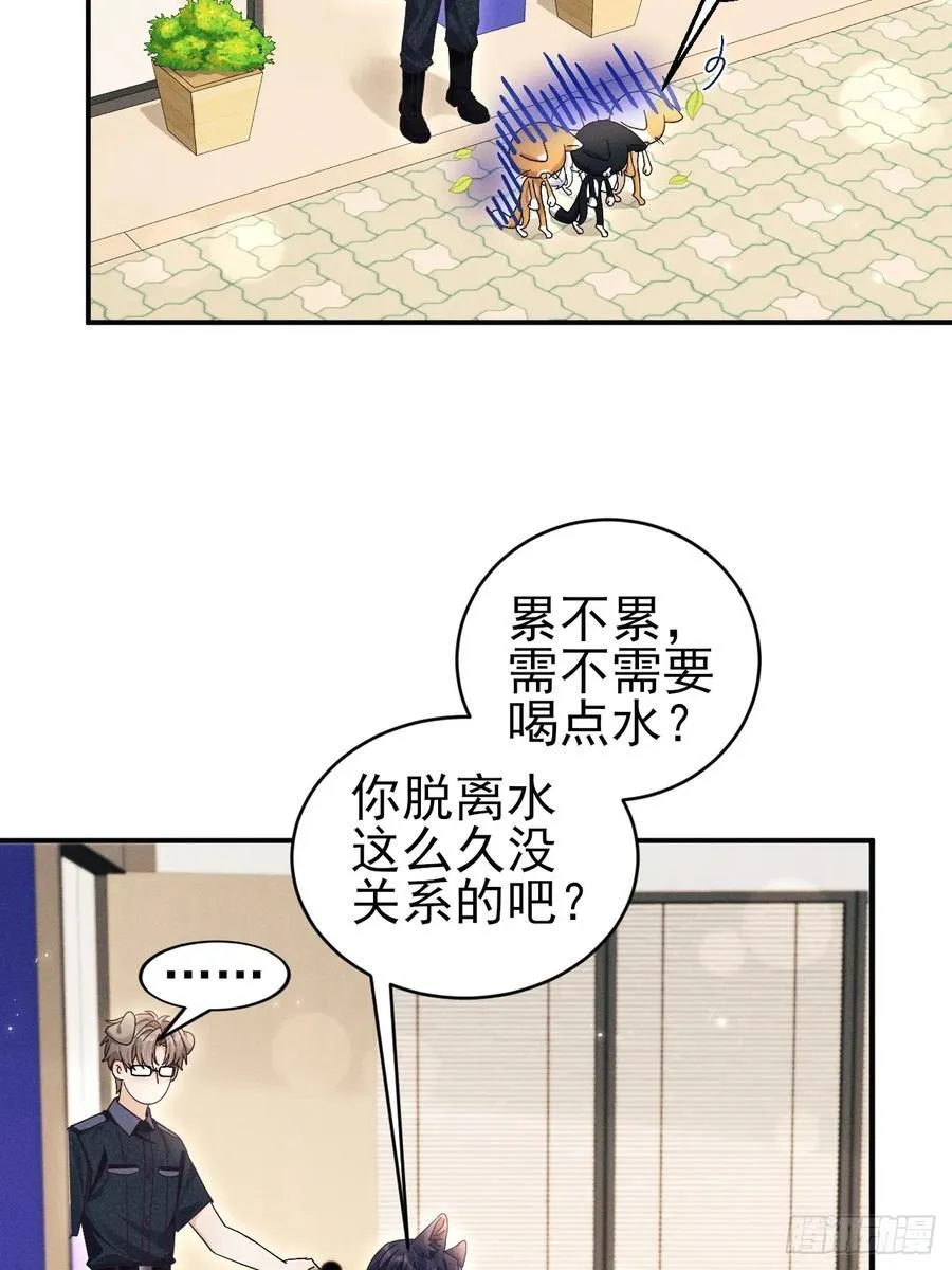 小人鱼历险记（上）53