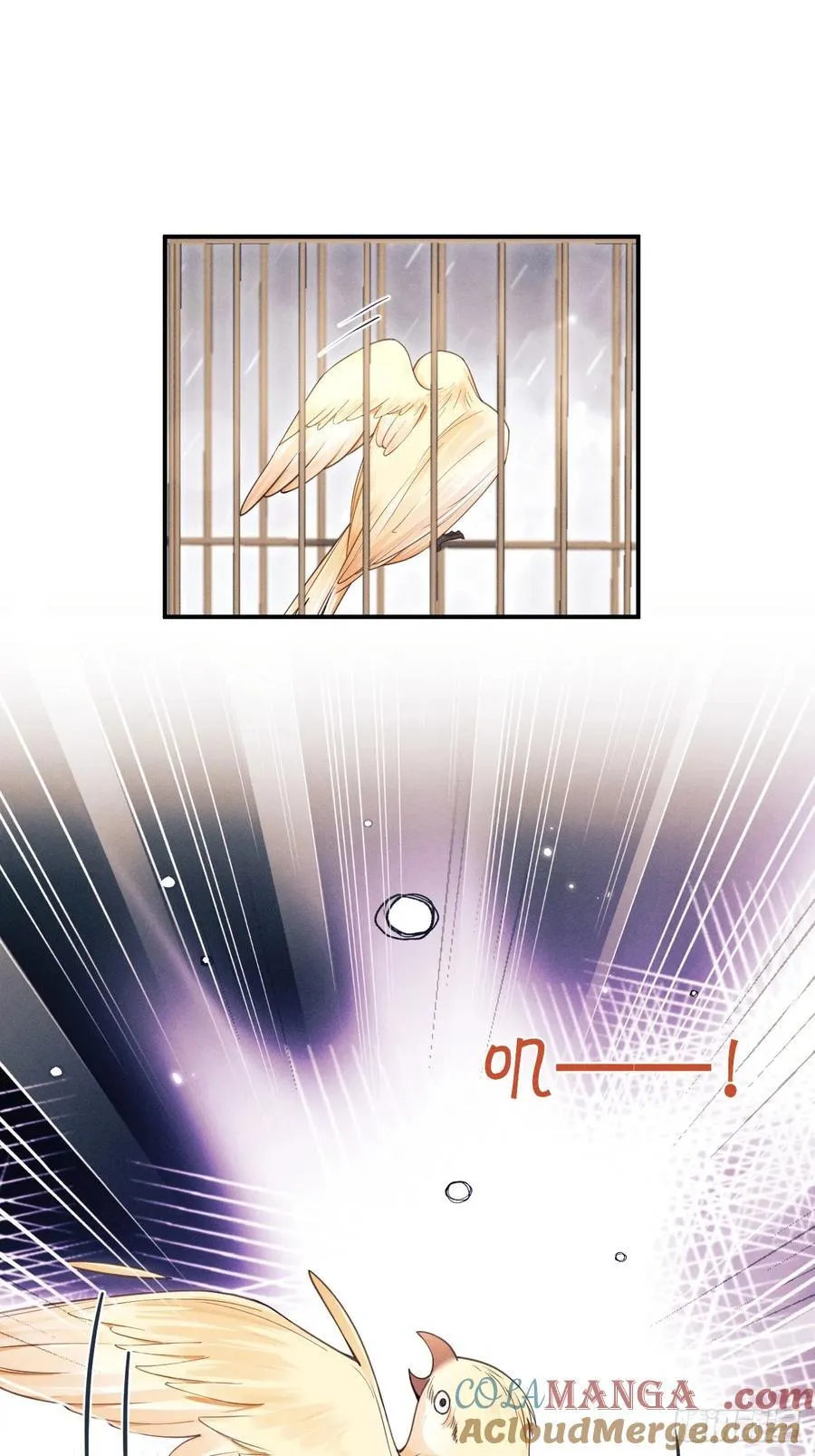 167.赠鸟12