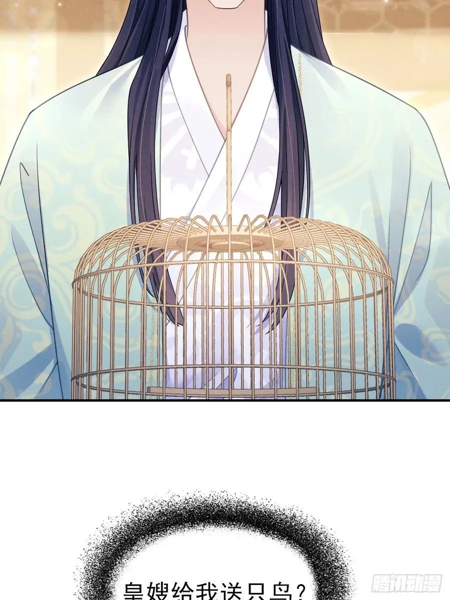 167.赠鸟22