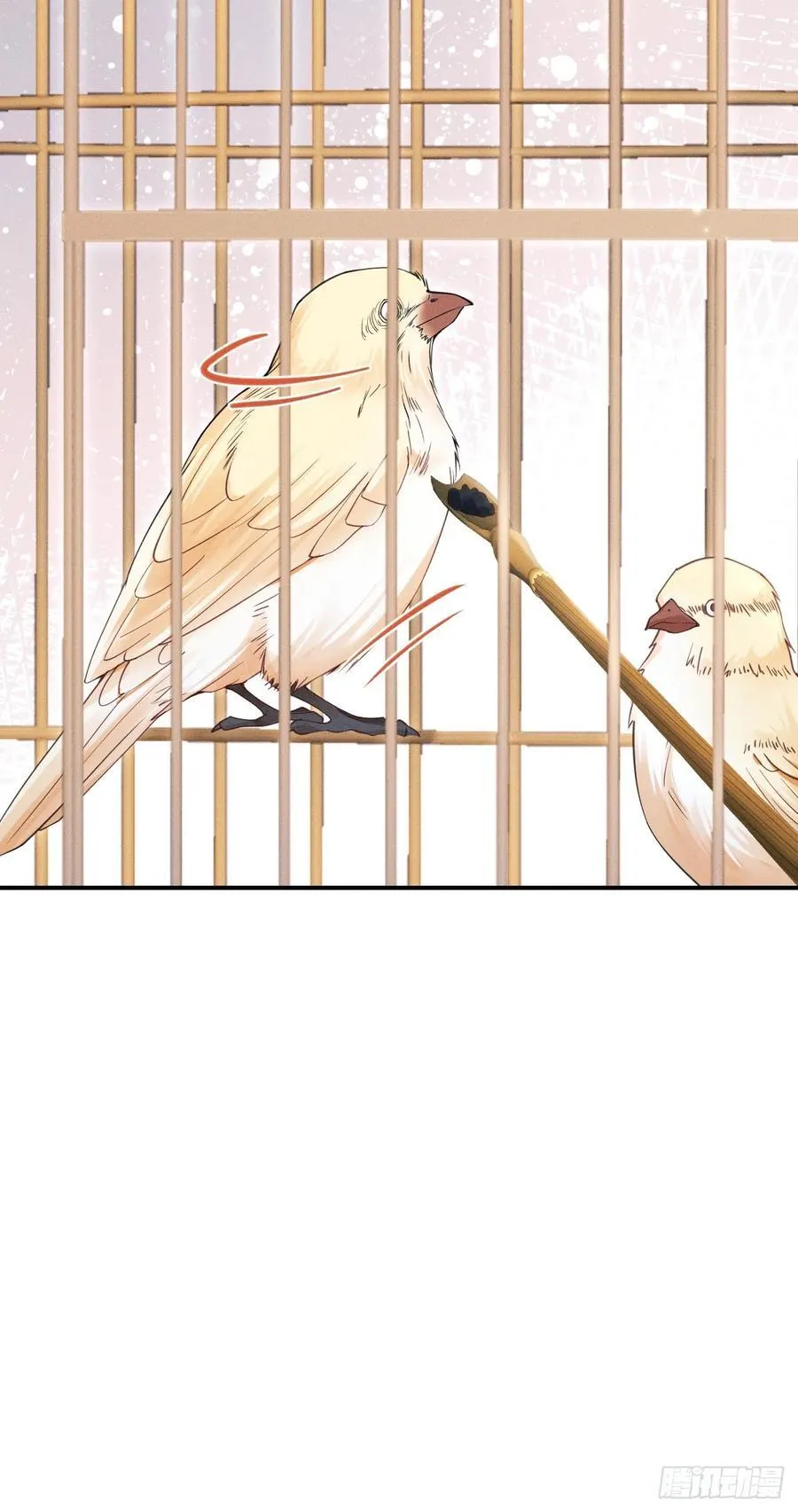 167.赠鸟11