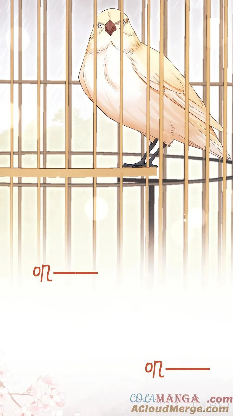 167.赠鸟18