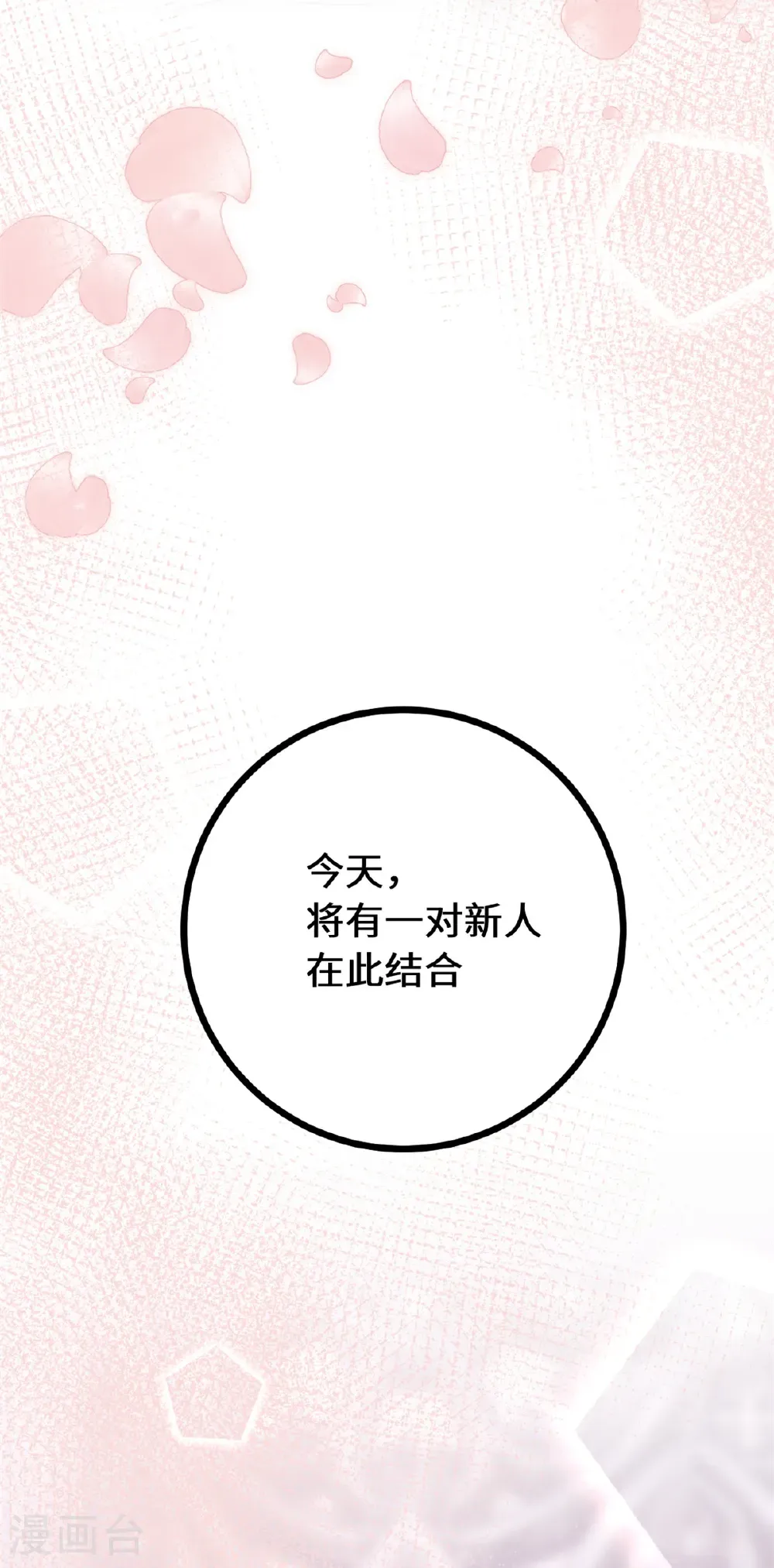 最终话 最幸福的婚礼16
