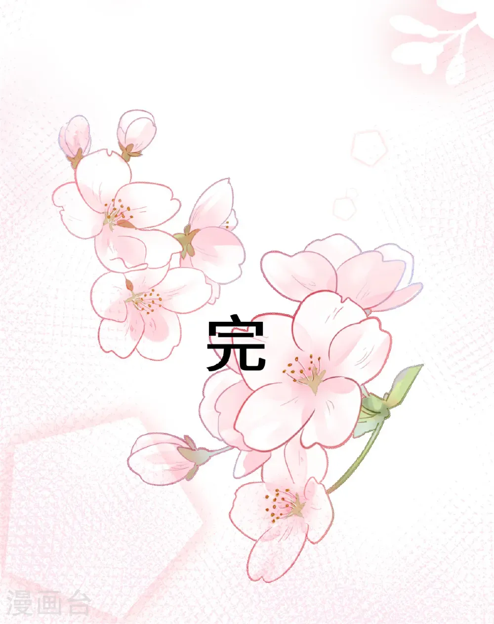 最终话 最幸福的婚礼27