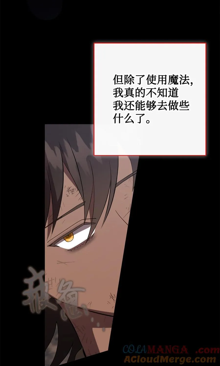 124 希尔坎的过去27