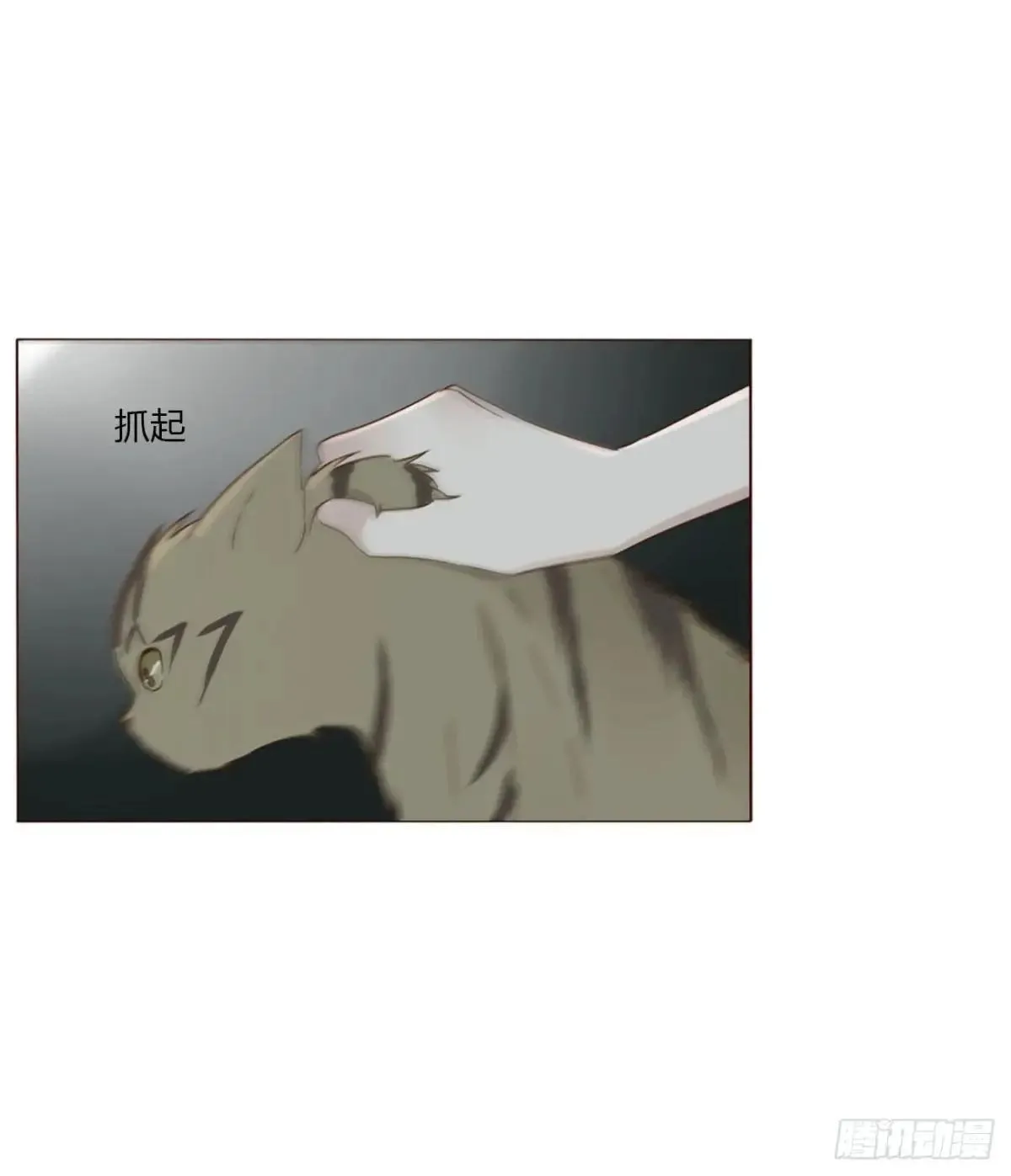 一五六章 神明34