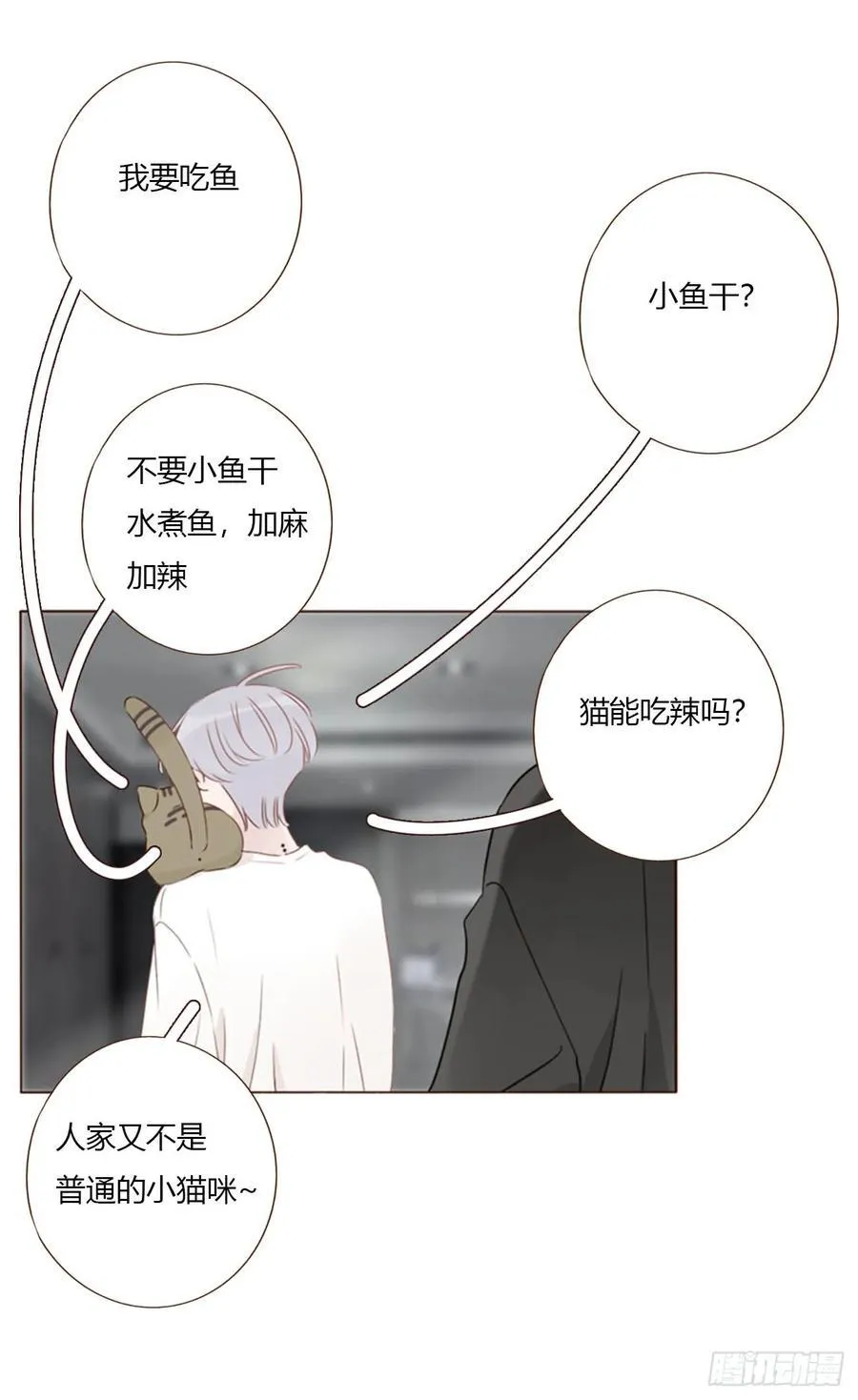 一六零章 奇怪的男孩17