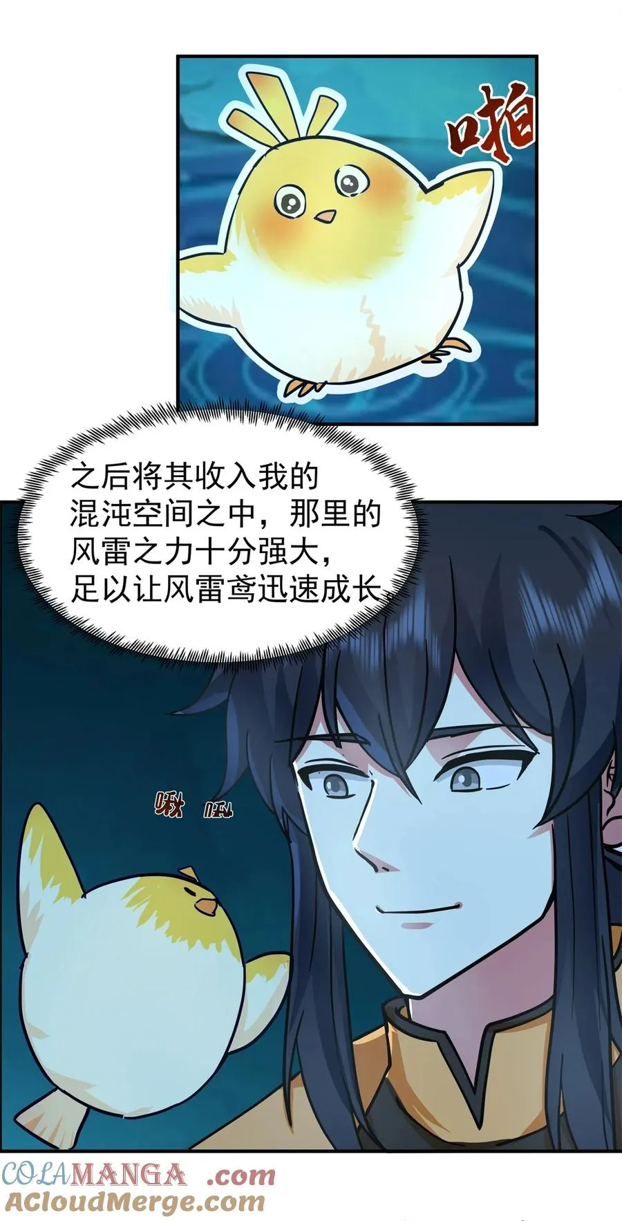499 风雷鸢雏鸟26