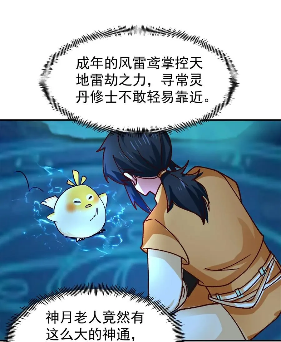 499 风雷鸢雏鸟21