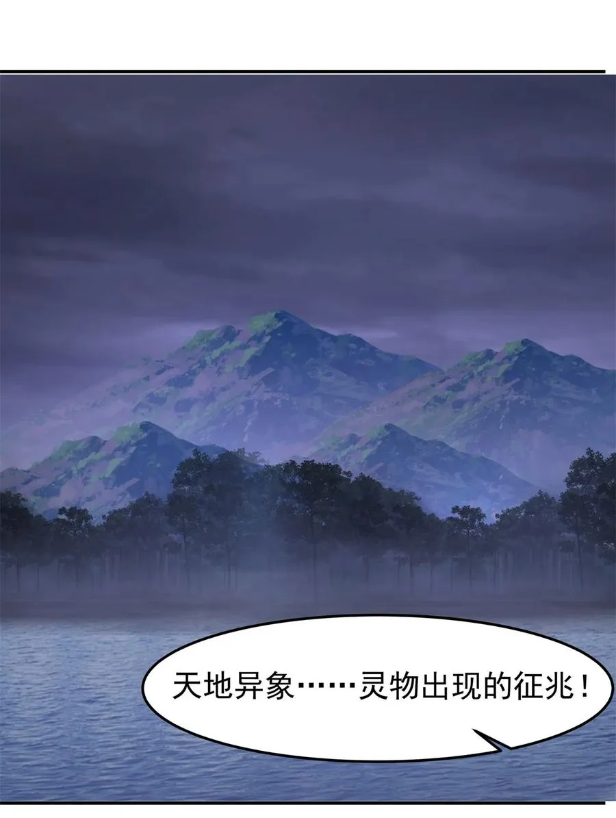 499 风雷鸢雏鸟11