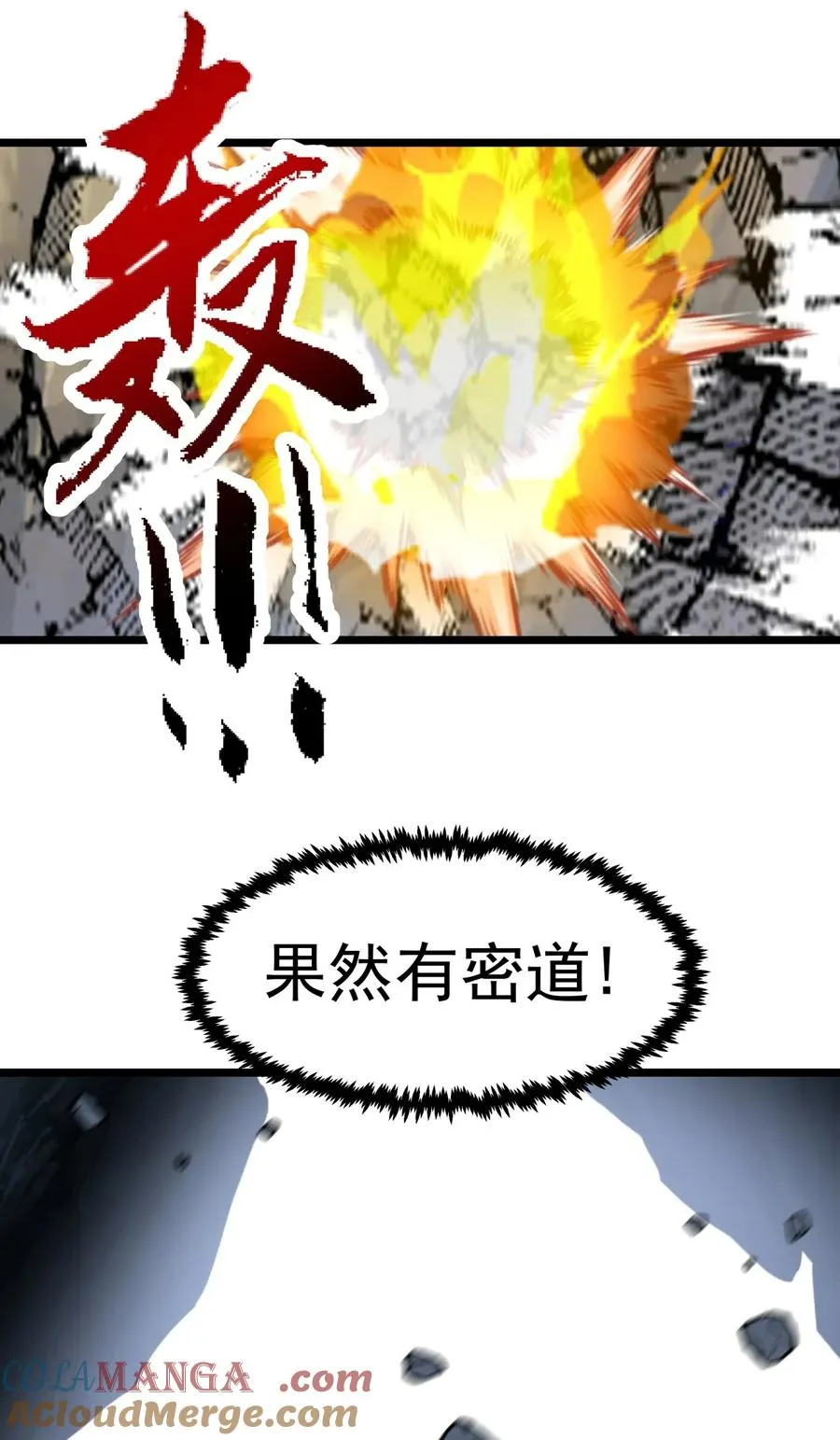 491 黑珠24