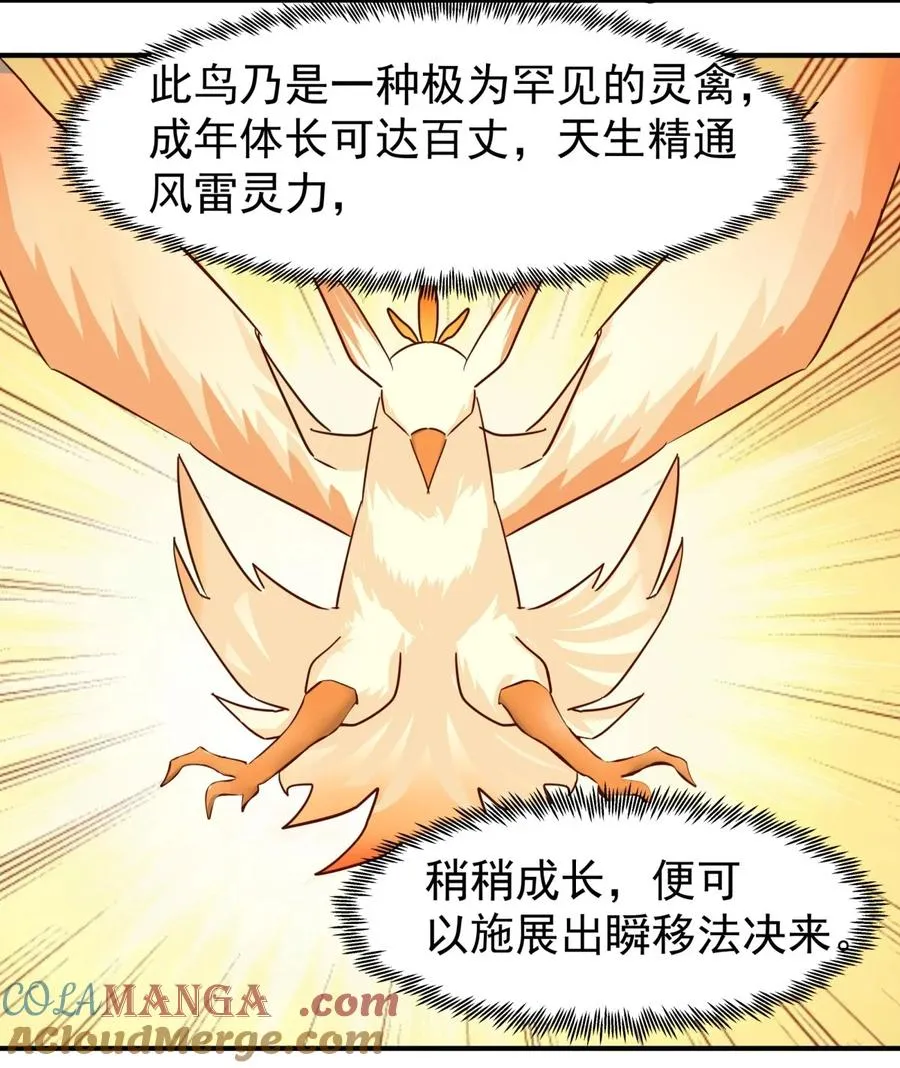 499 风雷鸢雏鸟20