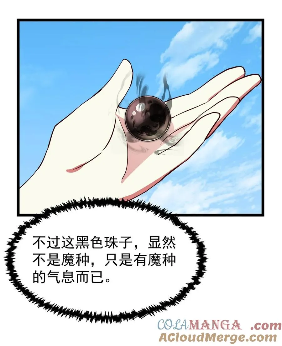 491 黑珠2