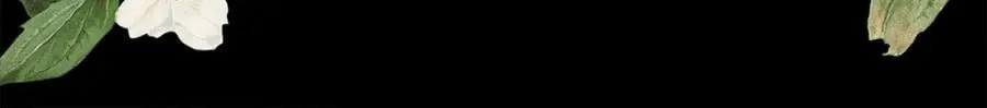 第110话 你怎样我都爱你161