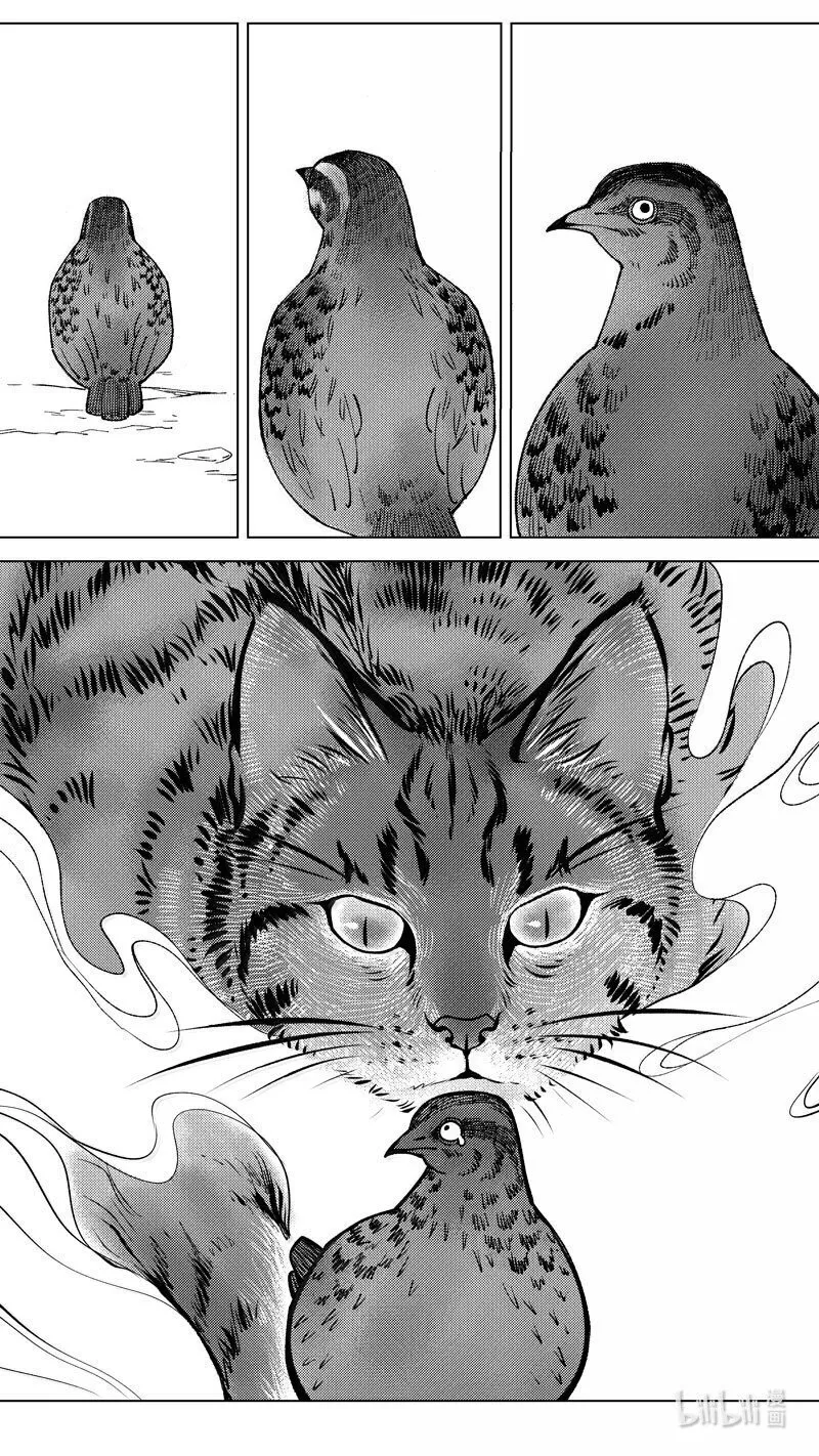 恶奶奶4 探寻5
