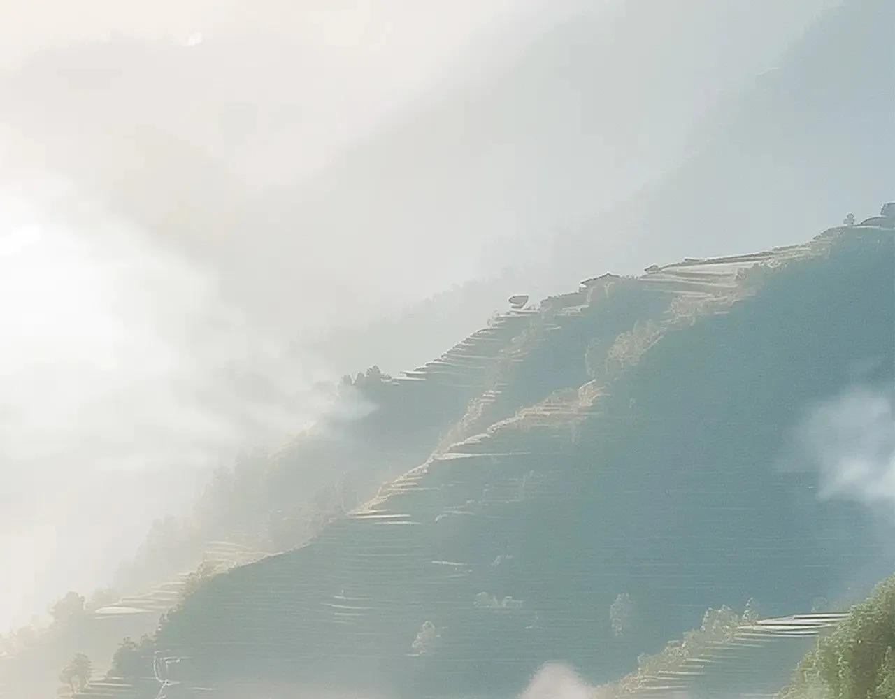 74:相思红豆29
