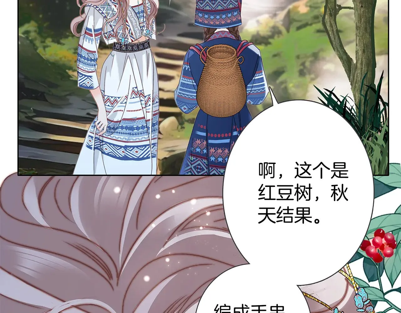 74:相思红豆44