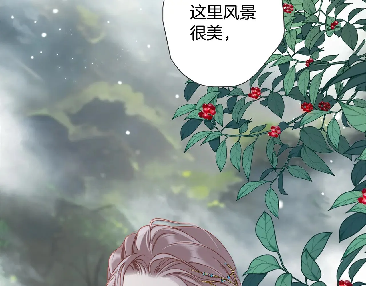 74:相思红豆40