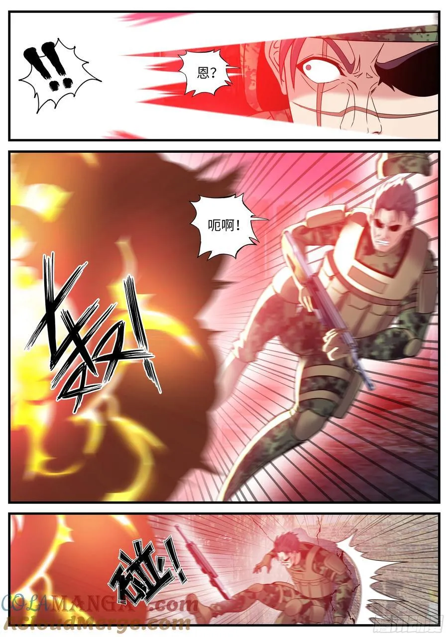 蜘蛛登场2