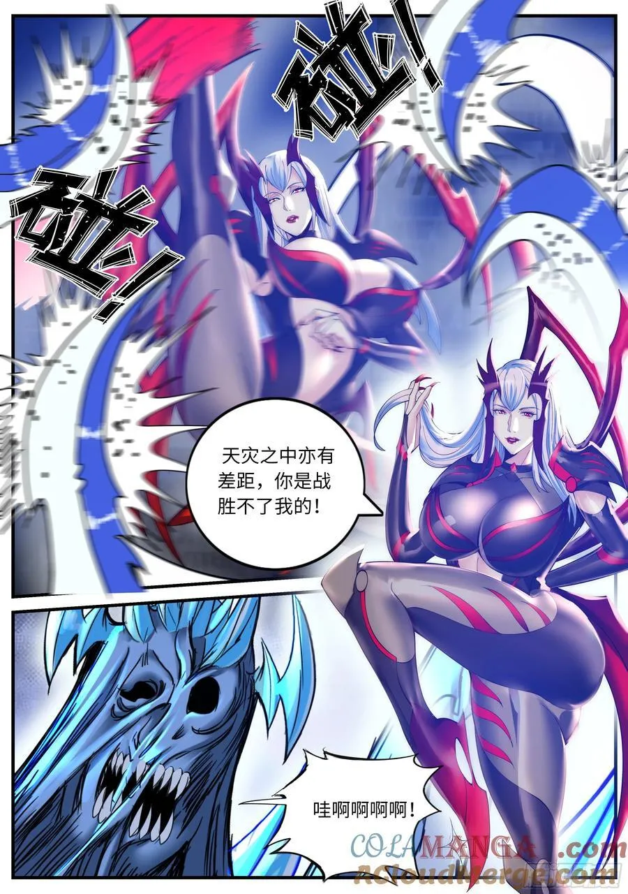 蜘蛛登场11