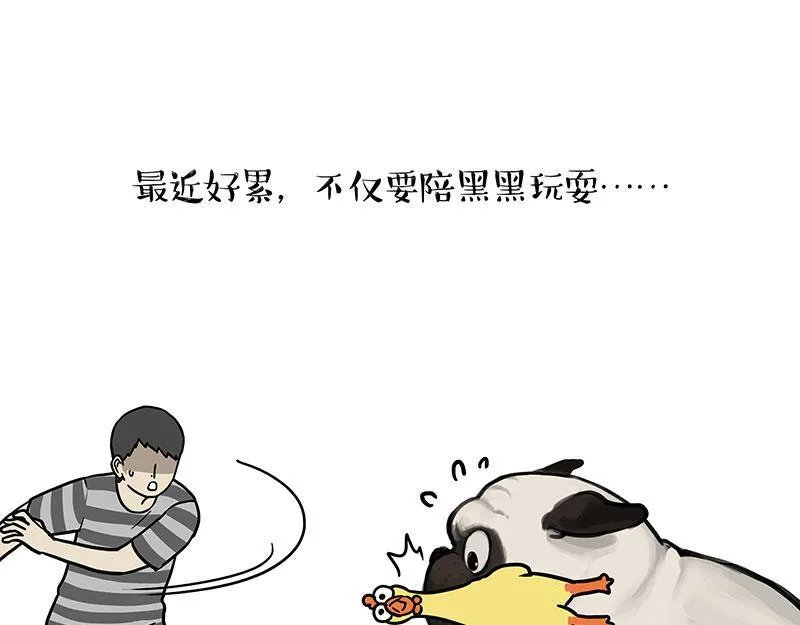 第447话 消息盲盒16