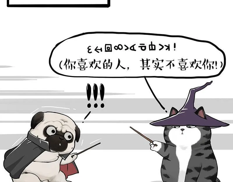 第447话 消息盲盒31