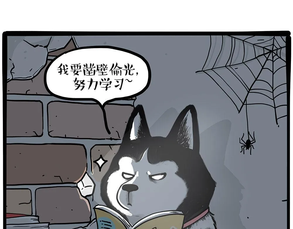 第447话 消息盲盒10
