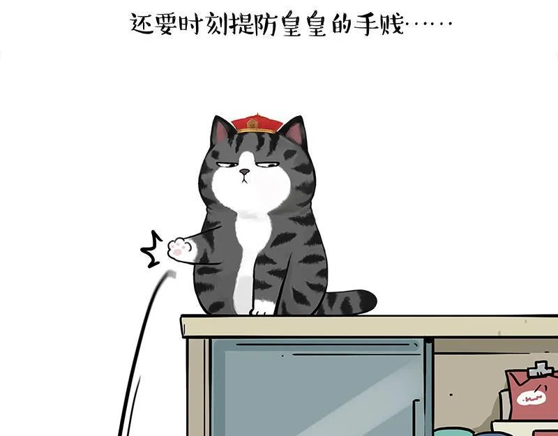 第447话 消息盲盒18
