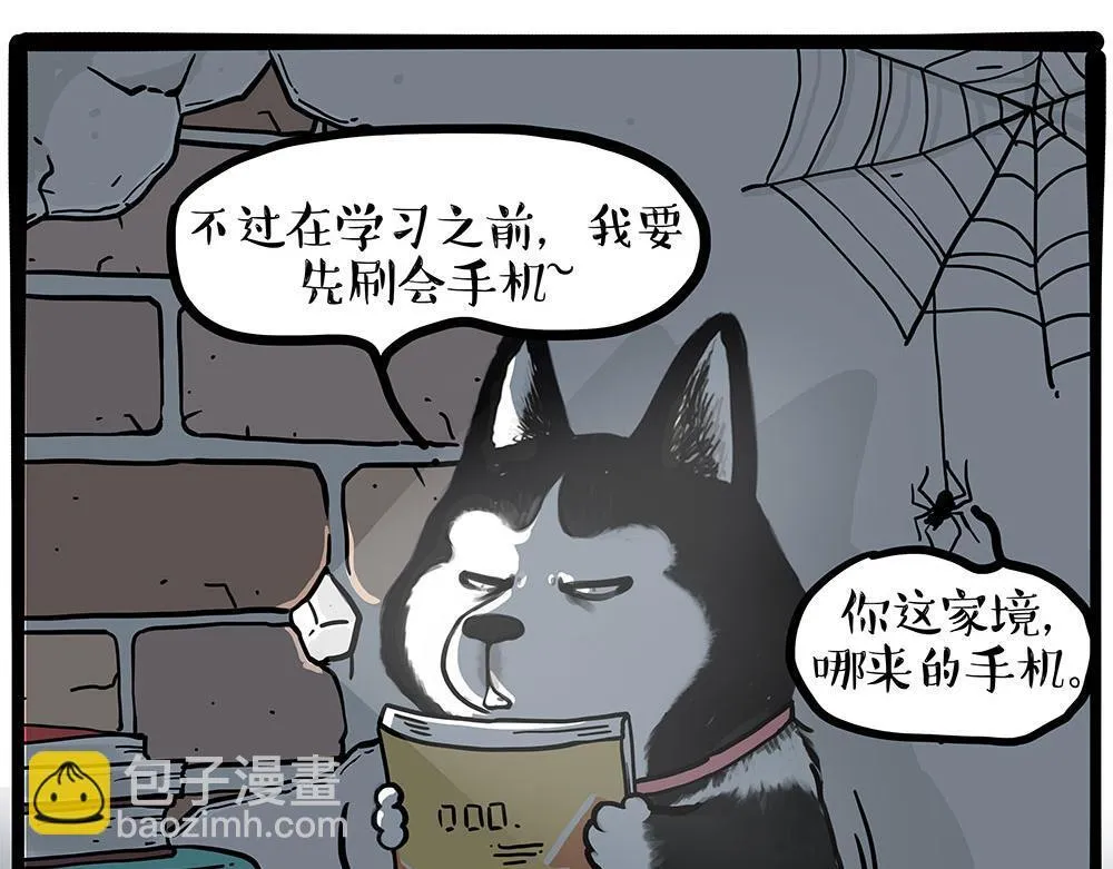 第447话 消息盲盒12