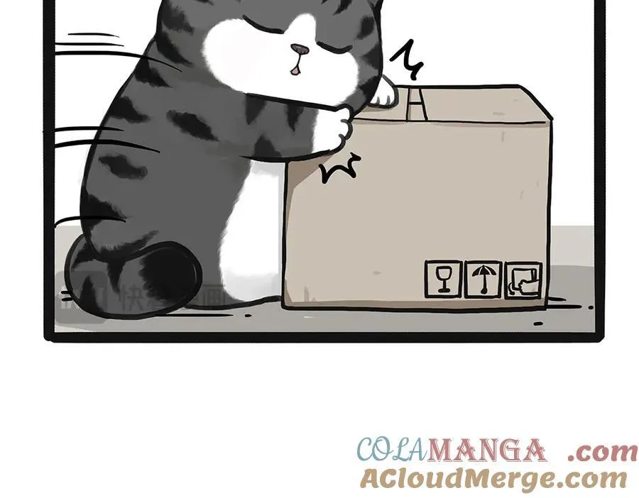 第449话 11114