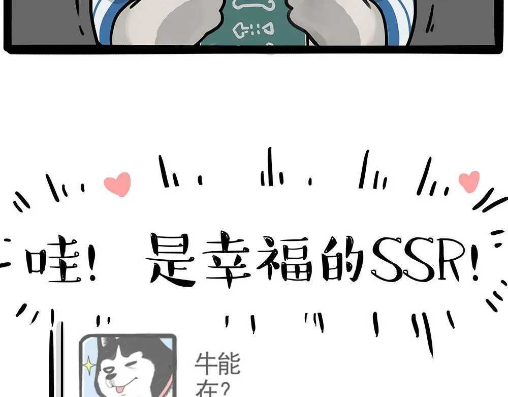 第447话 消息盲盒7