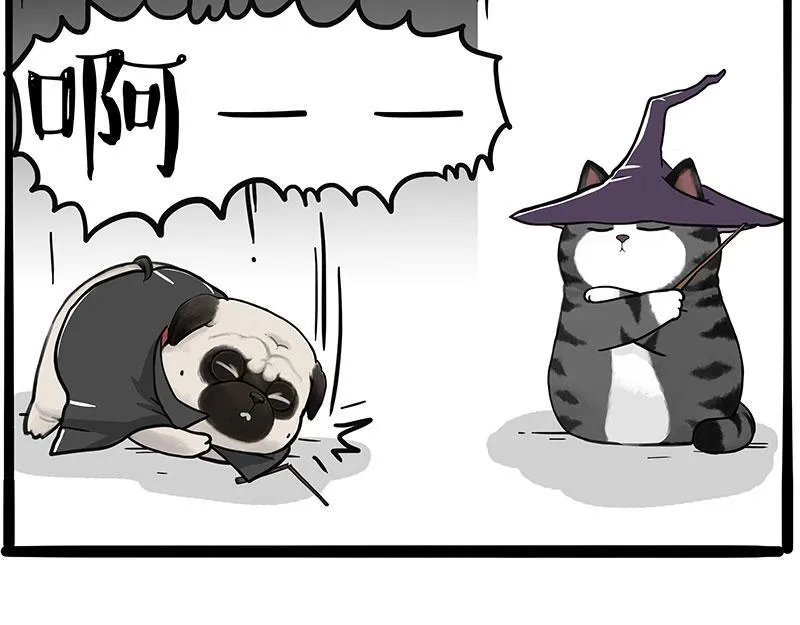 第447话 消息盲盒33