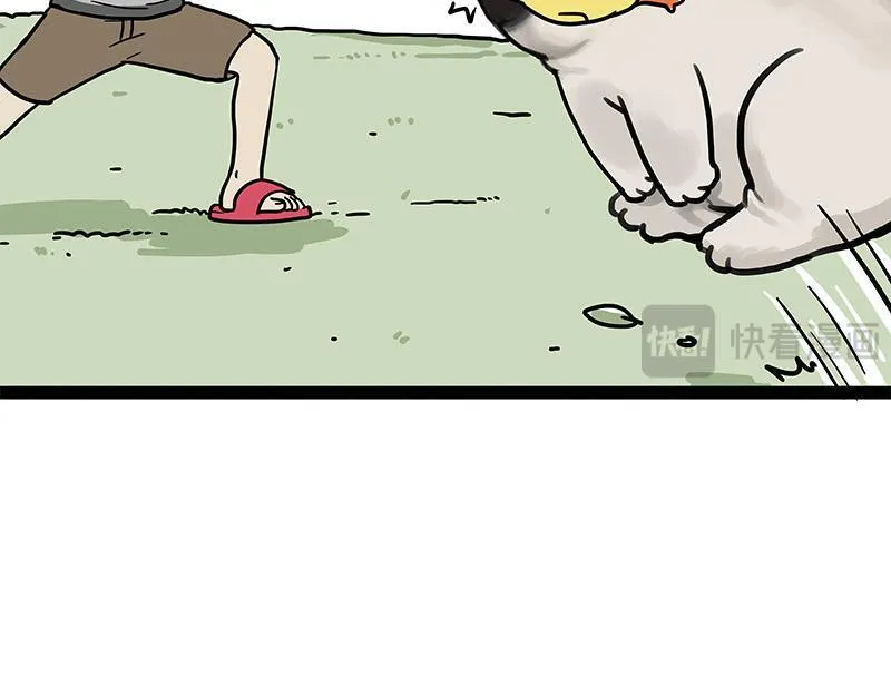 第447话 消息盲盒17