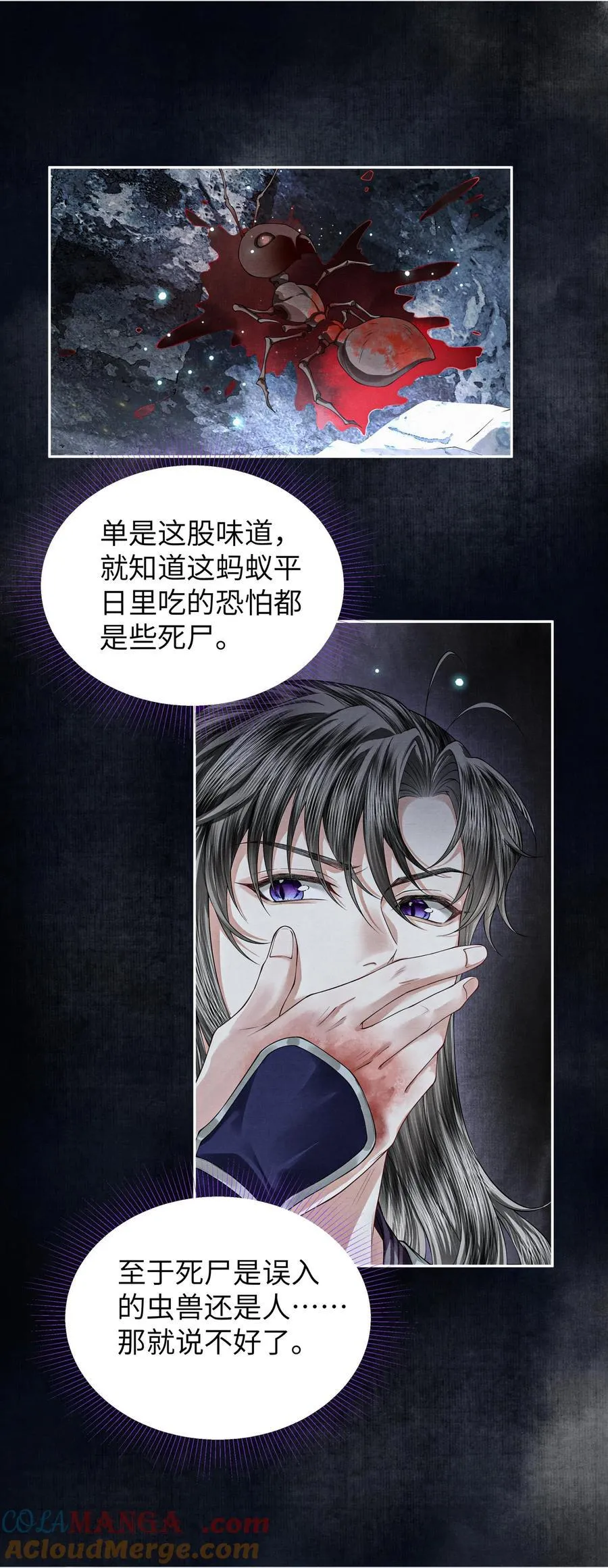 120 蚁群26