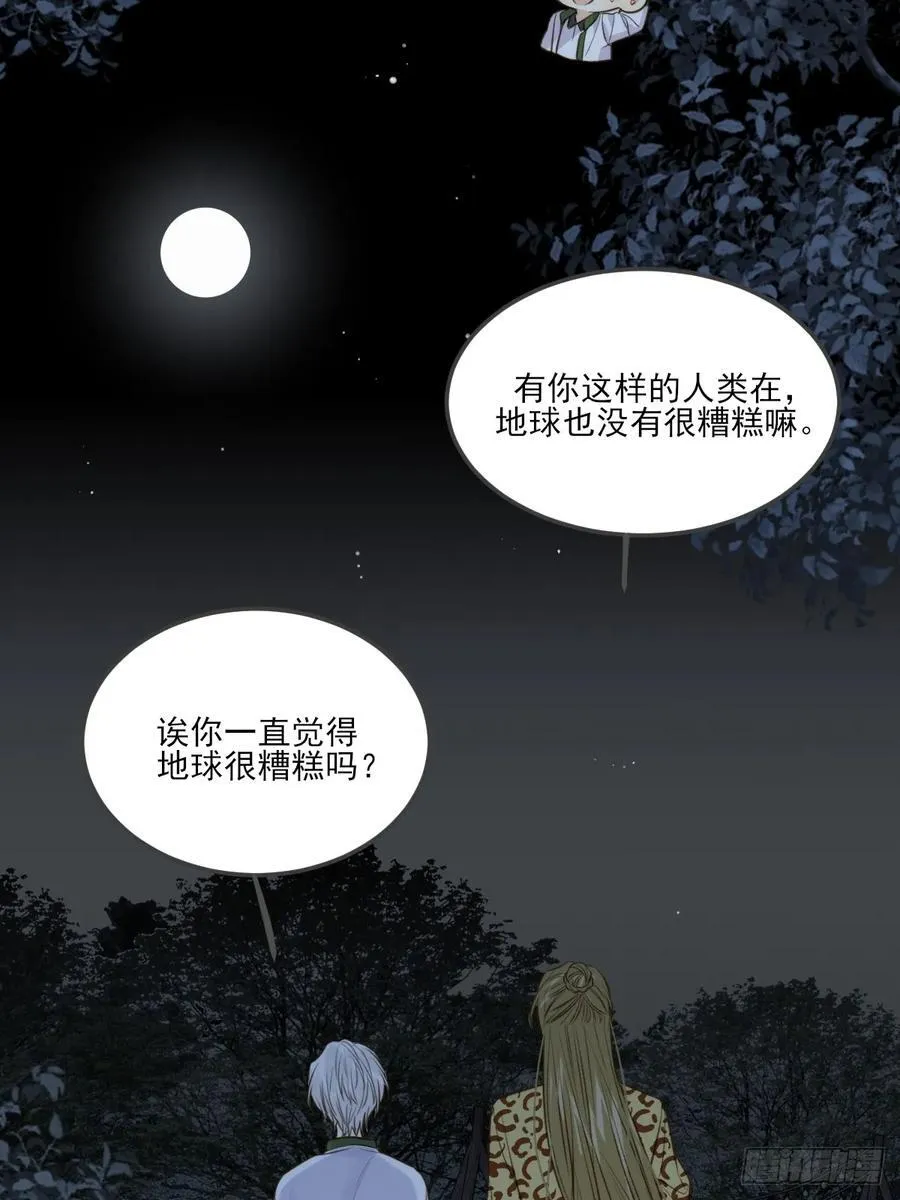 虎与爆篇243