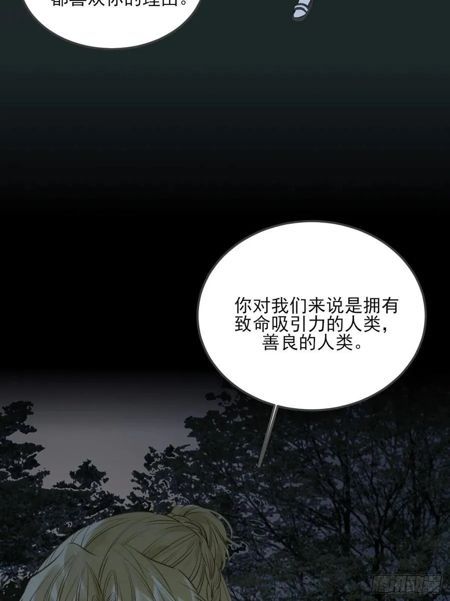 虎与爆篇241
