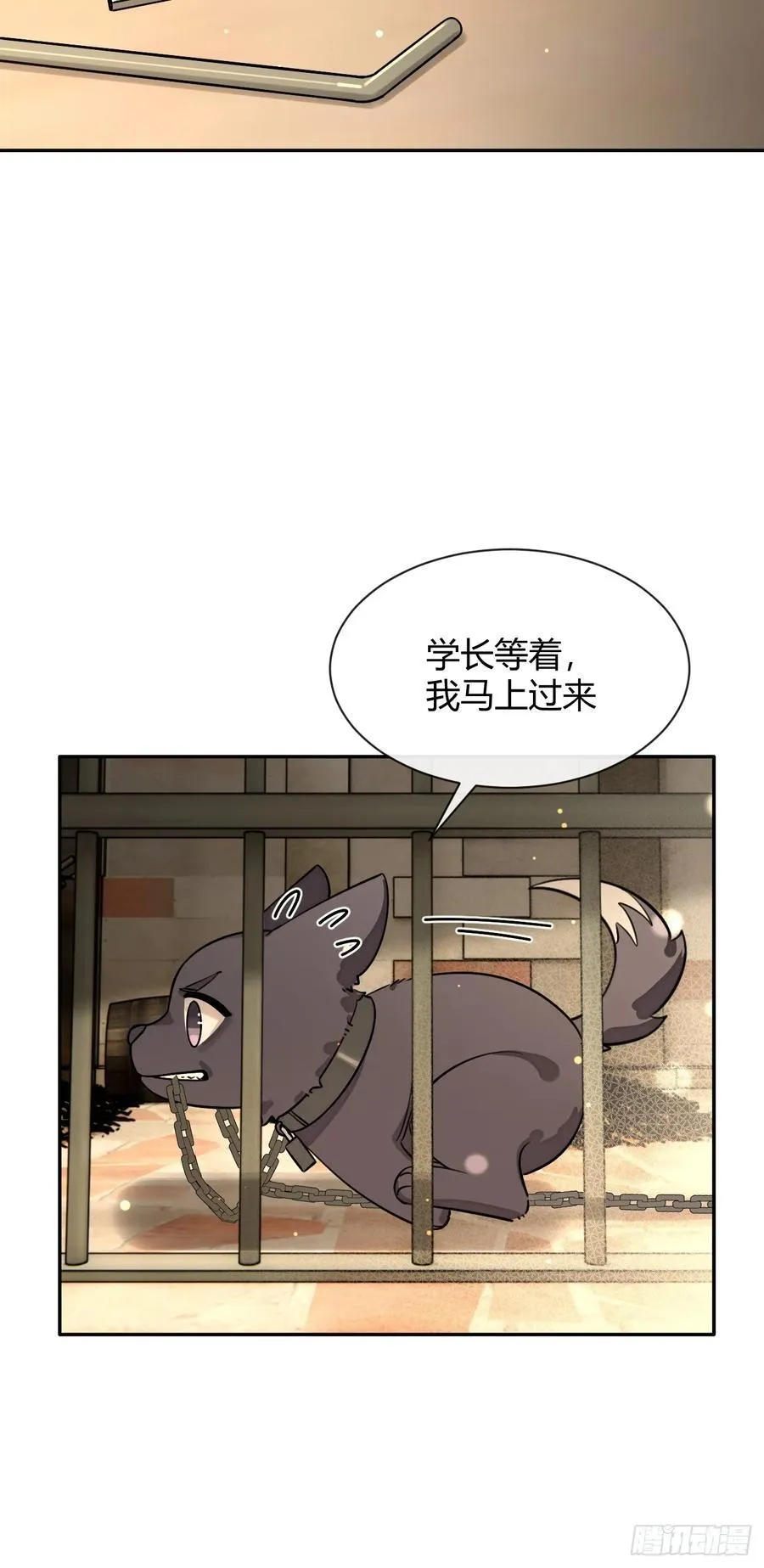 109.最考验意志力的一集20